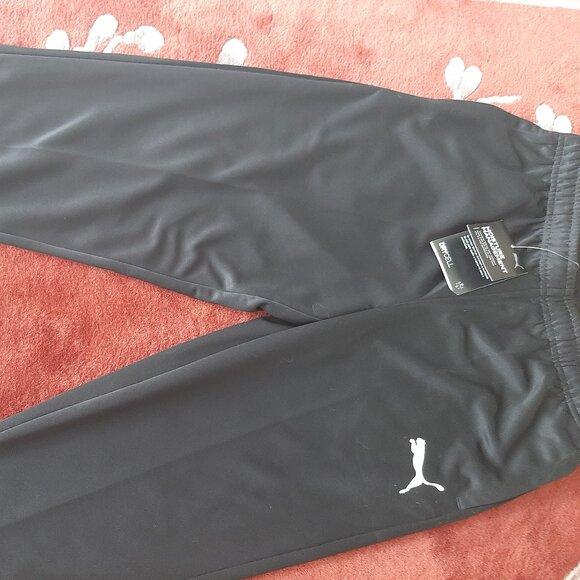 Athletic TeamRise Pants by PUMA - Picture 1 of 4